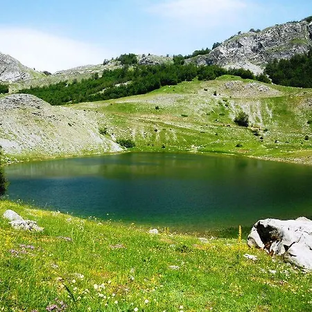Sunny * Podgorica